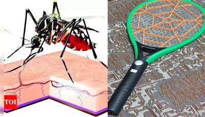 Dengue battle: Bengaluru homes turn tennis courts | Bengaluru News - Times of India