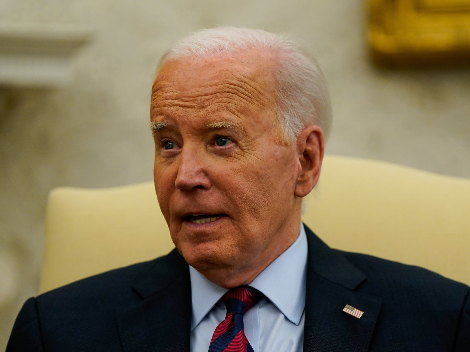 Biden unveils plan allowing hundreds of thousands to gain US citizenship