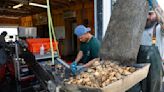 Lowcountry Oyster's $6.4M expansion to help local seafood producers reel in sales to other markets