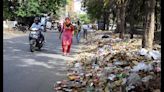 To improve waste collection, 50 MCG teams to conduct survey