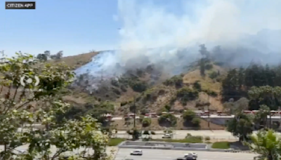 Firefighters quickly contain 3-acre Hollywood Hills brush fire