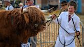 Devon County Show 2024 in 40 incredible pictures