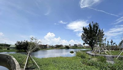 荒廢魚塭華麗轉身！ 口湖「椬梧映月塘」獲建築園冶獎殊榮