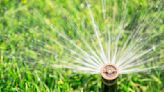 The Best Time to Water Grass for a Greener Lawn—and Less Water Waste