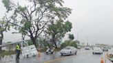 高雄狂風暴雨像颳颱風 3266戶停電急搶修 - 生活