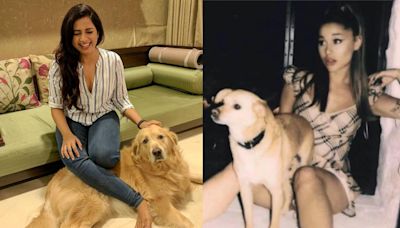 Shreya Ghoshal to Ariana Grande, celebrity singers who are also pet parents