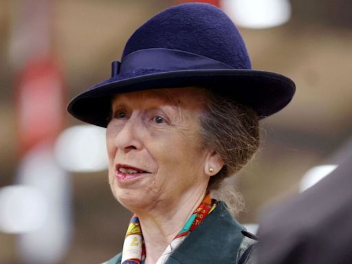 Princess Anne's two-word response as she caught BBC presenter hiding from her