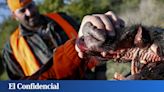 La última batalla del Ejército italiano: controlar a tiros a los jabalíes para salvar su 'prosciutto'