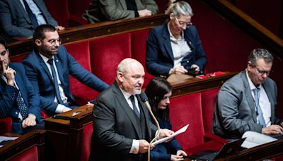 Le candidat RN Frédéric Boccaletti accusé de violences conjugales par son ex-femme