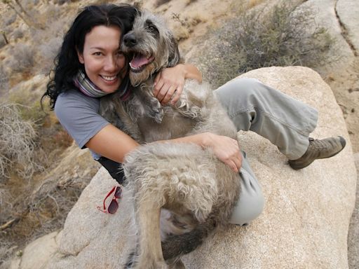 Giant Irish Wolfhound Still Trying to Cuddle on Mom's Lap Like a Puppy Is So Adorable