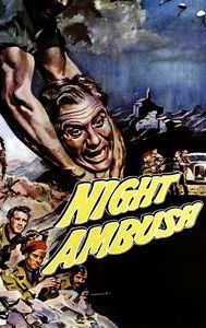 Night Ambush