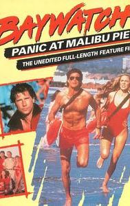 Baywatch: Panic at Malibu Pier
