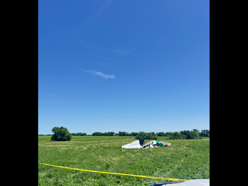 Skydiver’s parachute damages plane’s tail, causing it to crash near Butler, Missouri: FAA