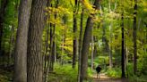 Rice County approves gravel mine near Nerstrand Big Woods State Park despite residents' environmental concerns