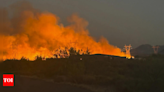 Arizona wildfire: Firefighters battle to control blaze; tankers, helicopters come to aid - Times of India