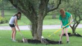 Learn how to care for your yard trees at April's Bedford's park program