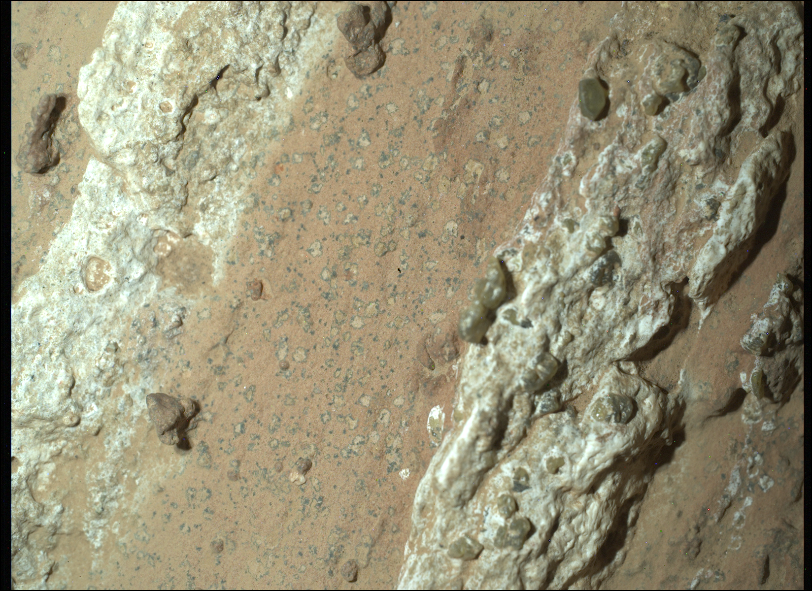 This Mars rock could show evidence of life. Here's what Perseverance rover found.