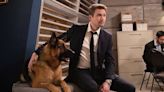 Todo lo que debés saber de Hudson & Rex, la exitosa serie de un detective y su perro que llega a AXN