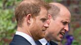 Prince Harry "stopped cold" when Prince William used secret code during alleged argument