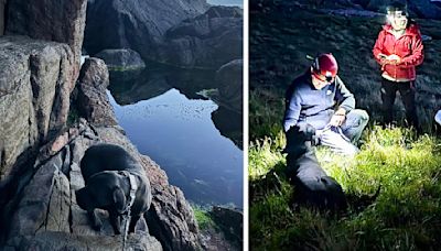 Dog who survived for a week on narrow cliff ledge is rescued