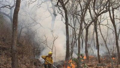 Avances en el combate del incendio en la Reserva de la Biosfera Sierra de Huautla