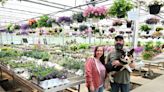 Crimson Greenhouse and Country Market opens on Willowbrook Road