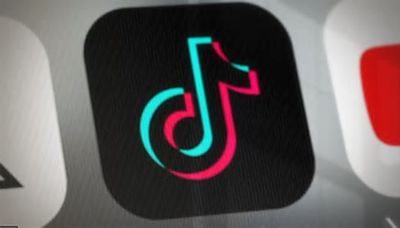 Behind the Ban: What is really at stake for TikTok