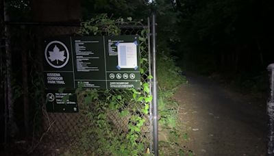 13-year-old girl sexually assaulted at knifepoint in NYC park