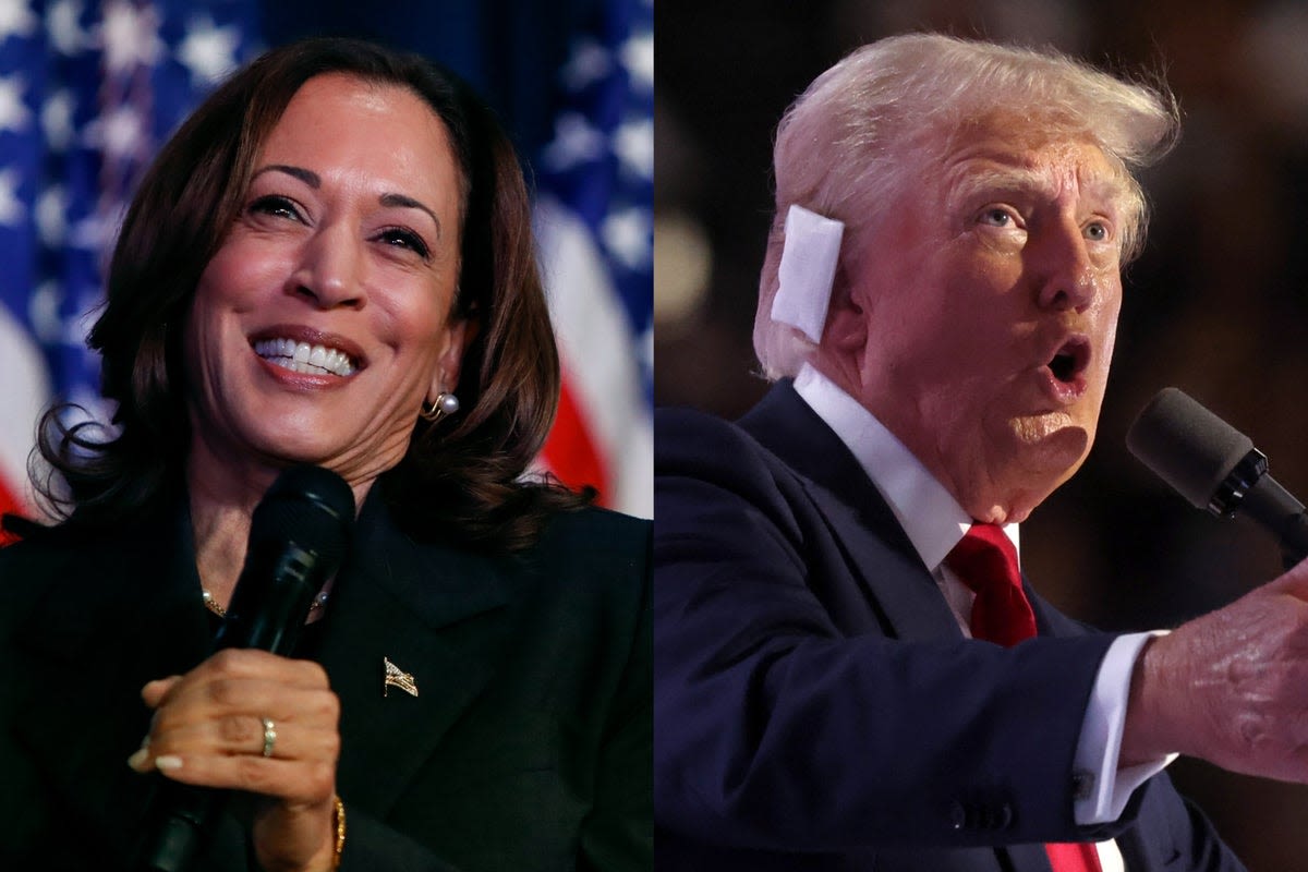 Trump takes a big lead over Harris in betting odds for November, but one Dem is a surprise with her chances