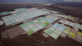 Tianqi seeks shareholder voting power in Chile's SQM-Codelco lithium deal