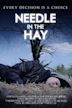 Needle in the Hay