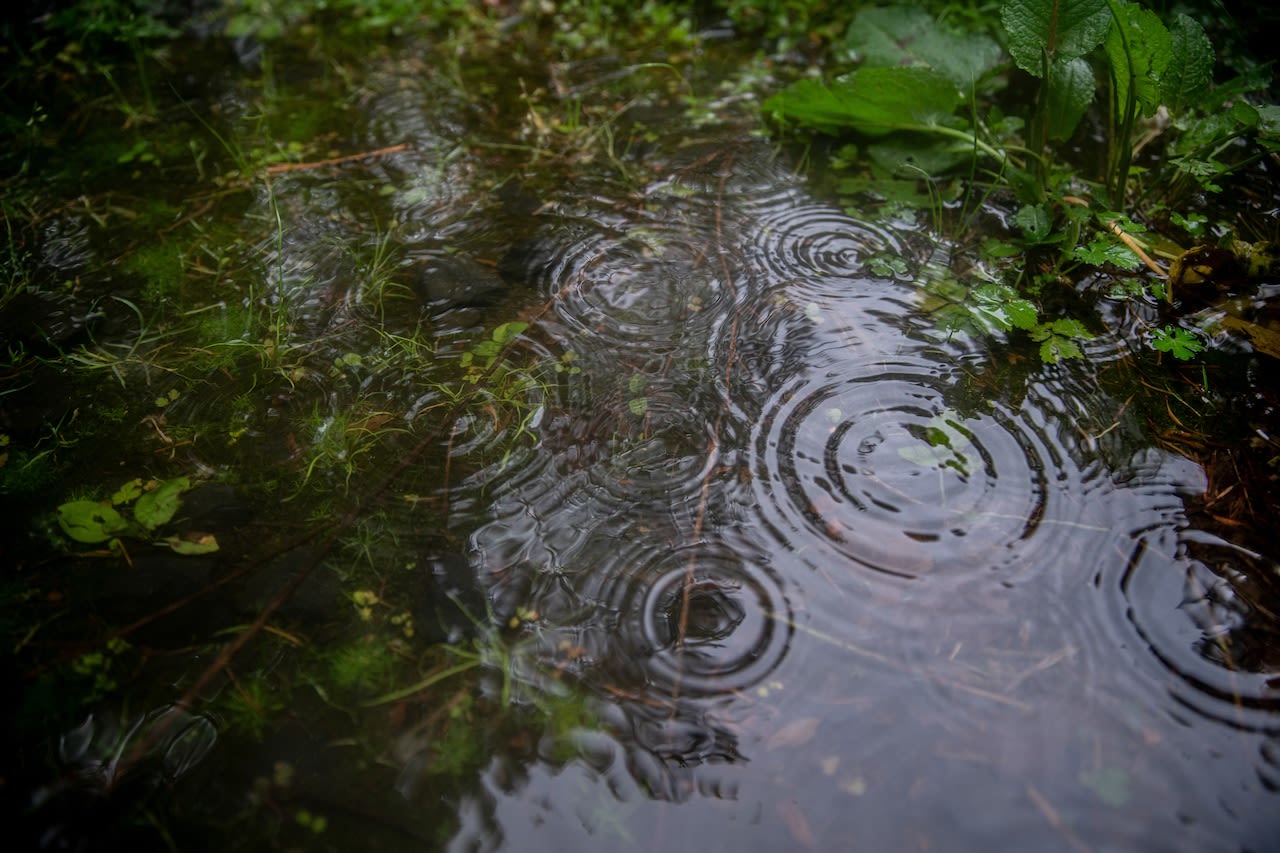 Sunshine is coming to Portland — but not today