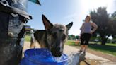 Another triple-digit heat wave is headed to Fresno. Here’s just how hot it might get