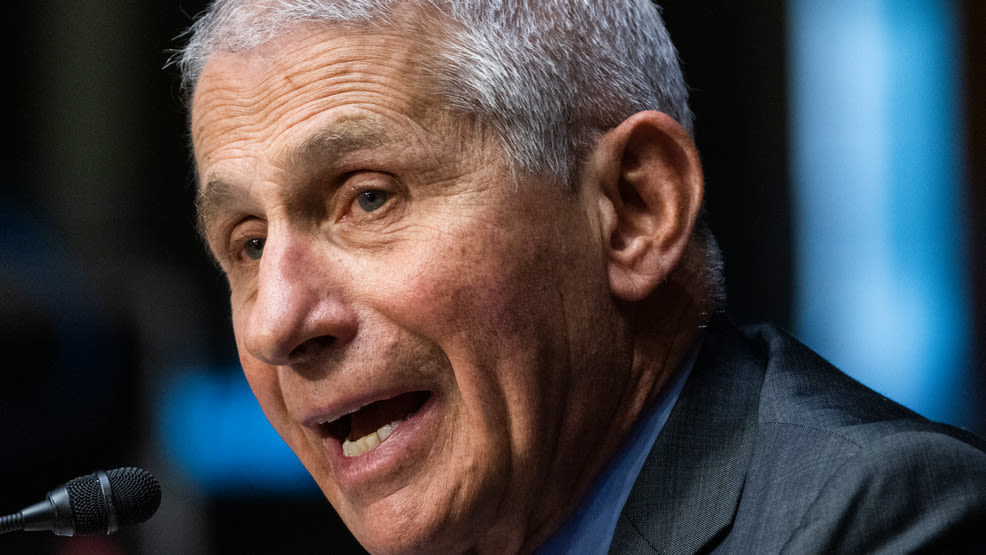 Fauci claims 'degree of schizophrenia' in US, says Americans forget how 'alike' they are