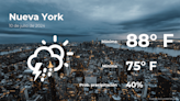 Nueva York: el tiempo para hoy miércoles 10 de julio - El Diario NY