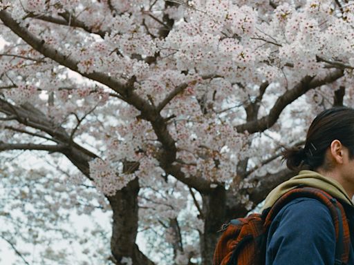 ‘Lady in the Lake’ Review: Natalie Portman’s Apple Noir Dives Deeper Than a Traditional Whodunit