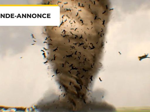 Bande-annonce Catnado : plus fort que Twisters, après la tornade de requins voici la tempête de chats !