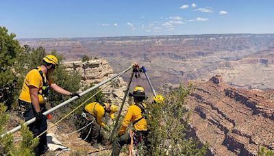 A 20-year-old college student from North Carolina died after falling from a Grand Canyon rim