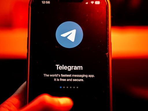 Telegram says it has 'about 30 engineers'; security experts say that's a red flag