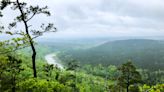 Nonprofit is working with the state to save trees and create Oklahoma's first state forest