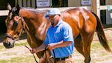 Record spending: OBS Spring Sale buyers spent $92 million on horses in Ocala last week