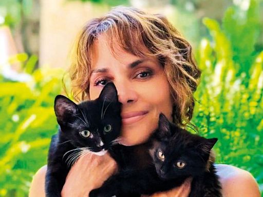 How life changed for Halle Berry after ‘Catwoman’