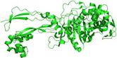 Penicillin-binding proteins