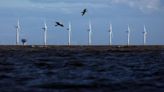 UK Offshore Wind Gets a Boost With ScottishPower’s £1.5 Billion Turbine Deal