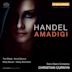 Handel: Amadigi