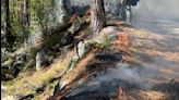 Controlled burns spark hope for forest restoration in Oregon