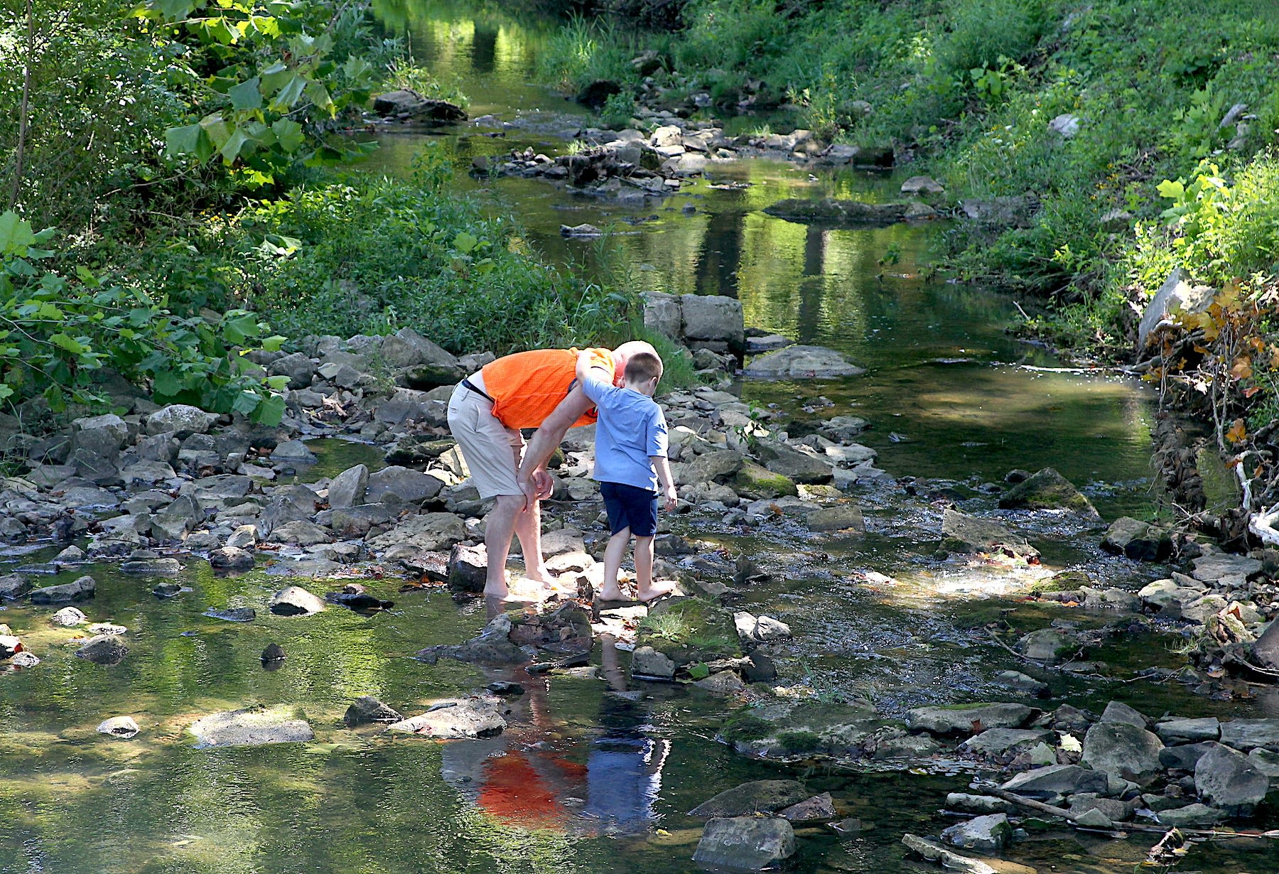 Exploring the creek at Avoca Park and Recreation