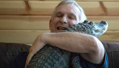 Man's emotional support alligator, known for big social media audience, missing in Georgia