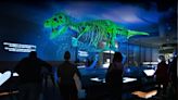 Sue: The T. rex Experience opens Saturday at Saint Louis Science Center