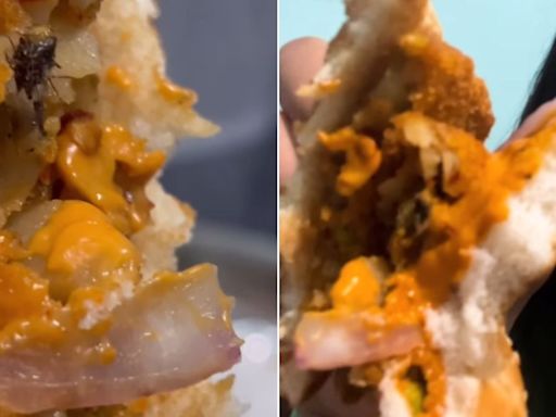 ...Finds Dead Insect In Veg Burger Ordered From Burger King In Mumbai; Shares VIDEO & Claims Suffered Diarrhoea